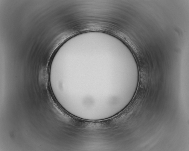 X0000112050890200908250956