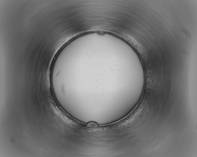 X0000112050892200908250956