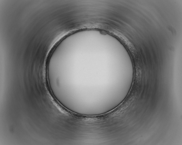 X0000112050894200908250956