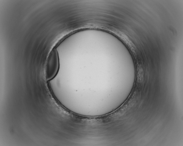 X0000112050896200908250956