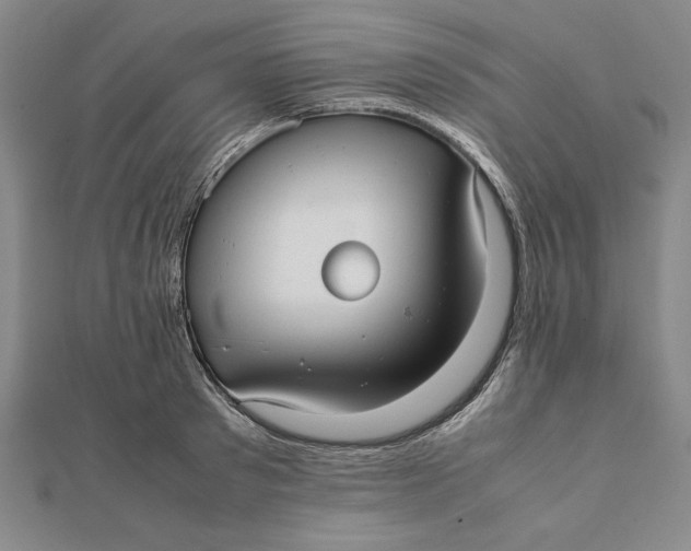 X0000112050897200908250956