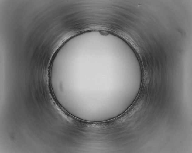 X0000112050898200908250956