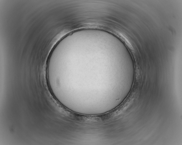 X0000112050899200908250956