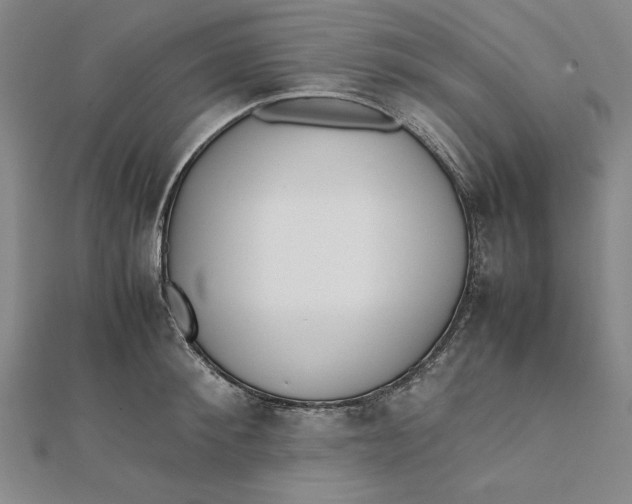 X0000112050900200908250956