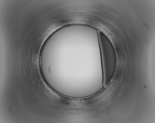 X0000112050901200908250956