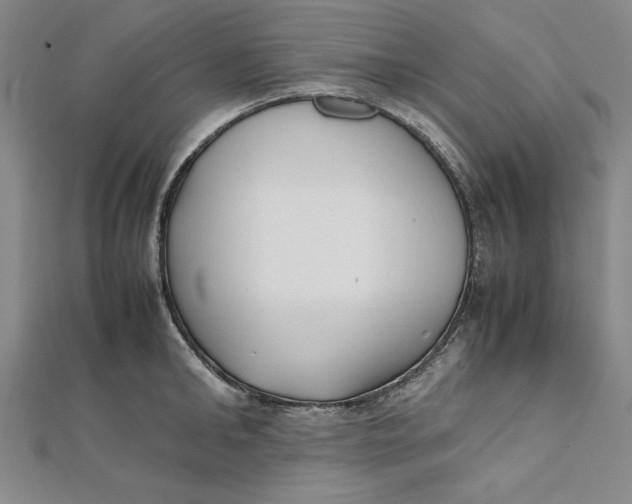 X0000112050902200908250956