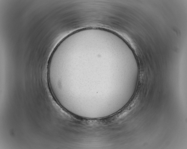 X0000112050903200908250956