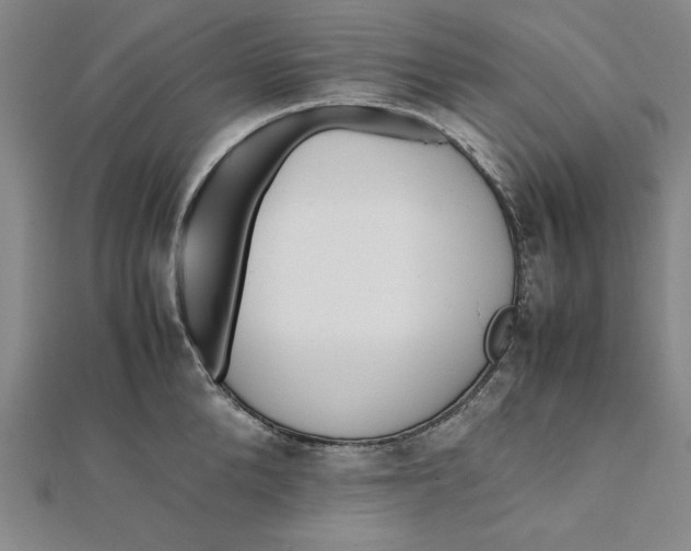 X0000112050904200908250956