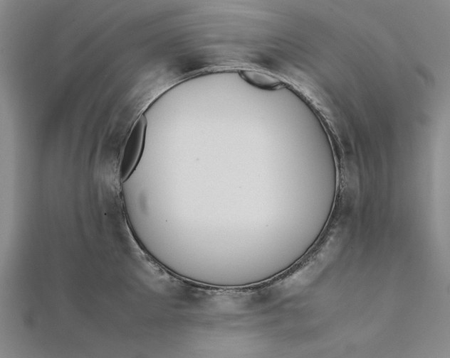 X0000112050905200908250956