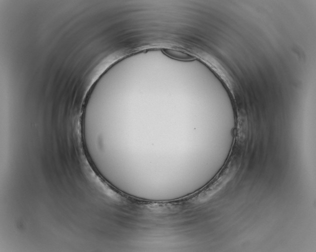 X0000112050906200908250956