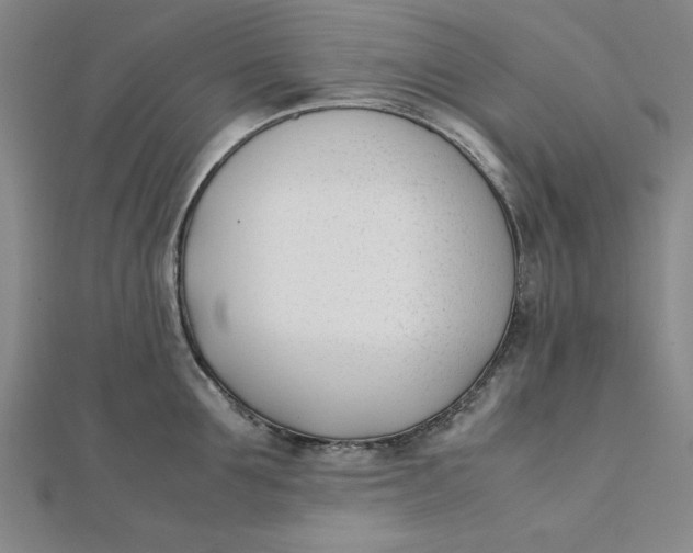 X0000112050907200908250956