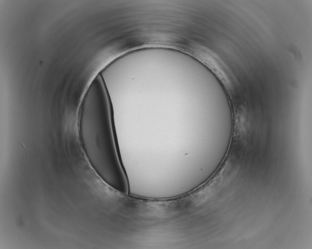 X0000112050908200908250956