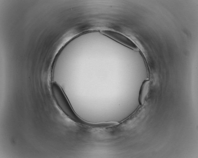 X0000112050909200908250956