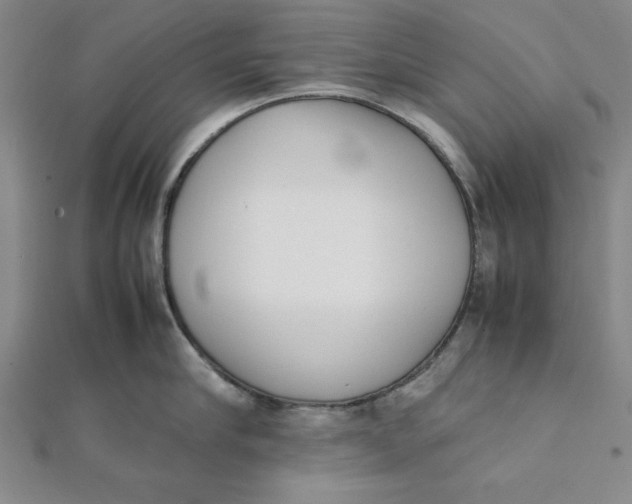 X0000112050910200908250955