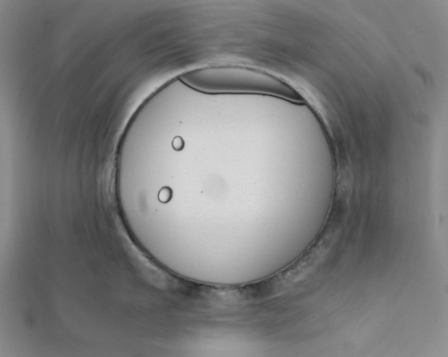 X0000112050911200908250955