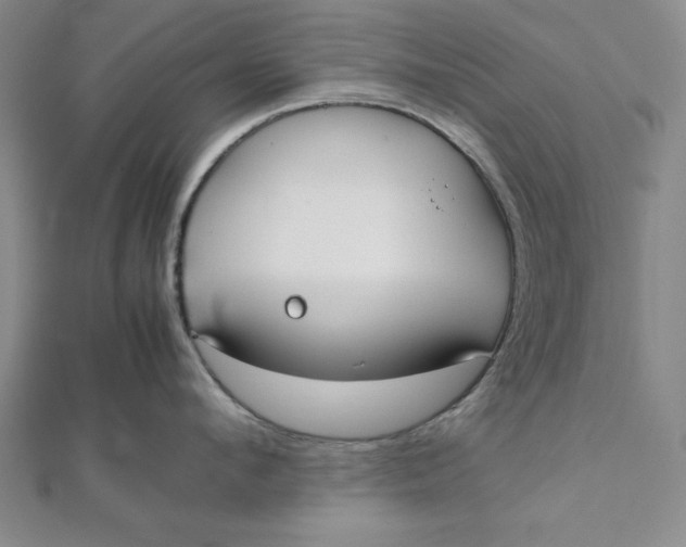 X0000112050912200908250955