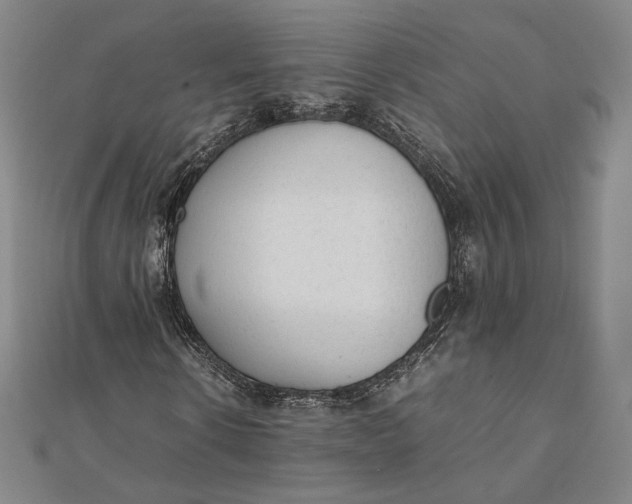 X0000112050914200908250955