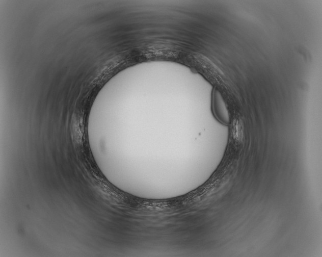 X0000112050915200908250955