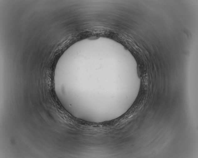 X0000112050916200908250955