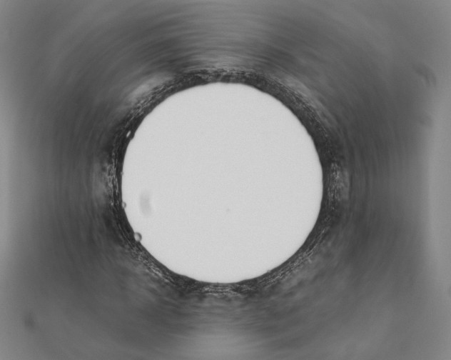 X0000112050918200908250955