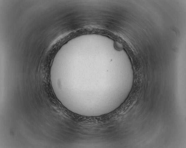 X0000112050919200908250955