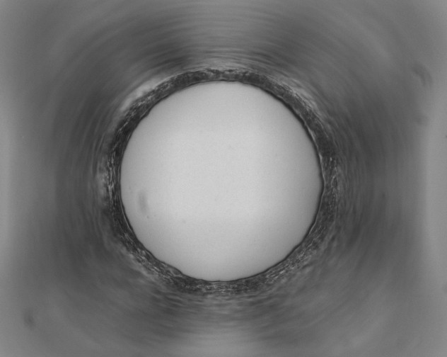 X0000112050920200908250955