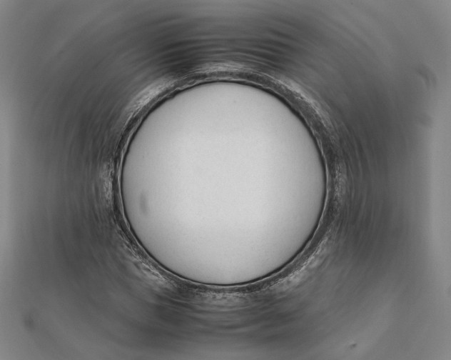 X0000112050921200908250955