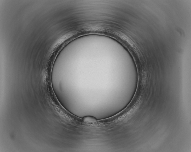 X0000112050922200908250955