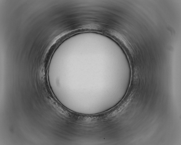 X0000112050923200908250955