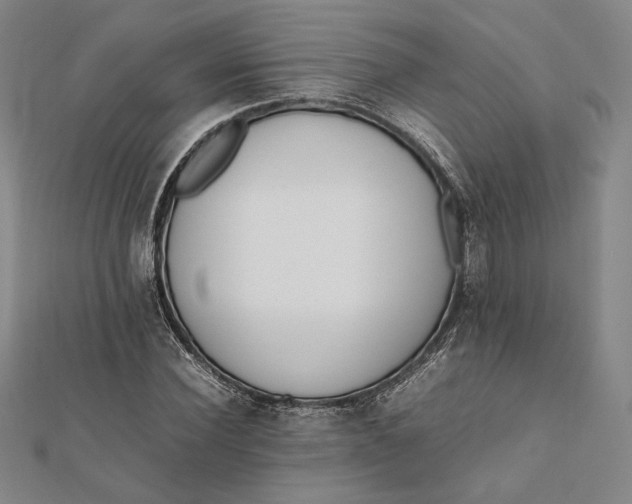 X0000112050924200908250955