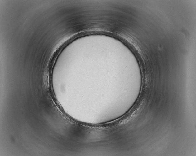 X0000112050925200908250955