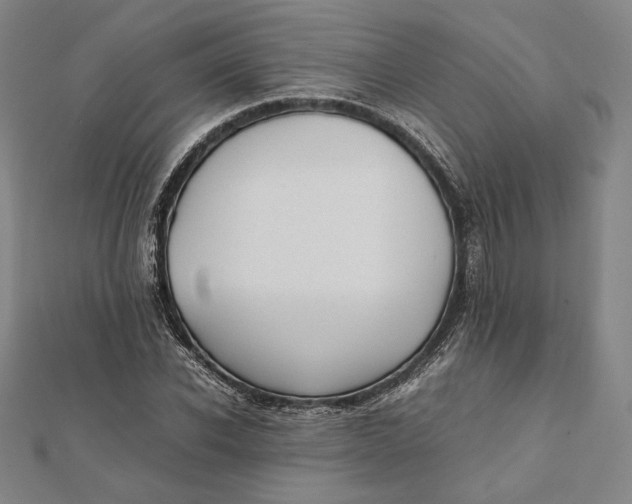 X0000112050926200908250955