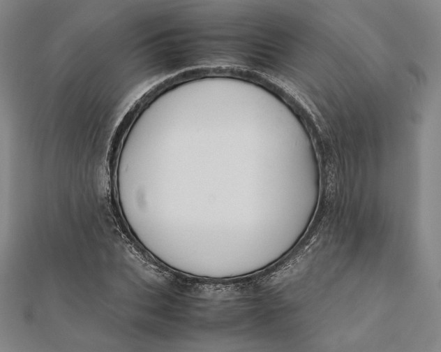 X0000112050927200908250955