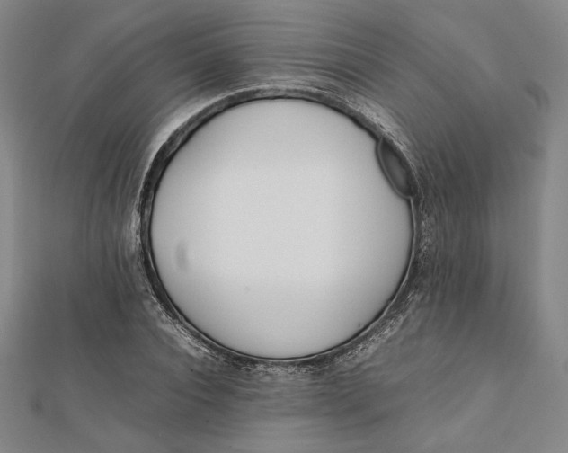 X0000112050928200908250955