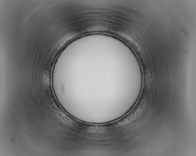 X0000112050929200908250955