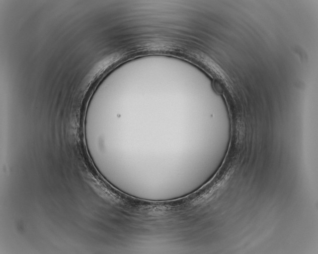 X0000112050930200908250955