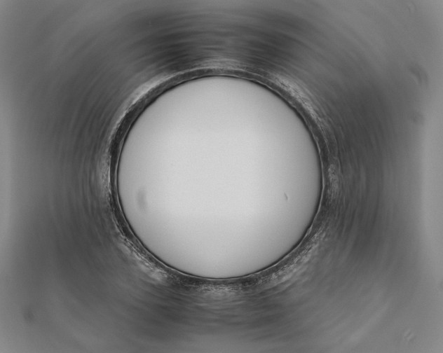 X0000112050931200908250955