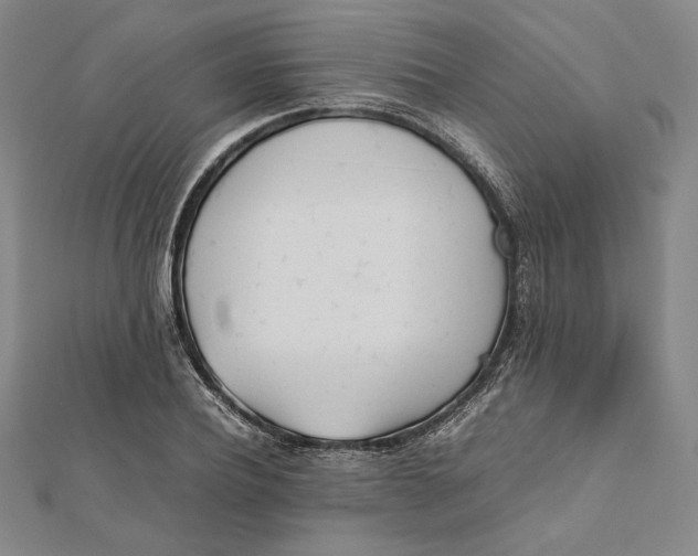 X0000112050932200908250955