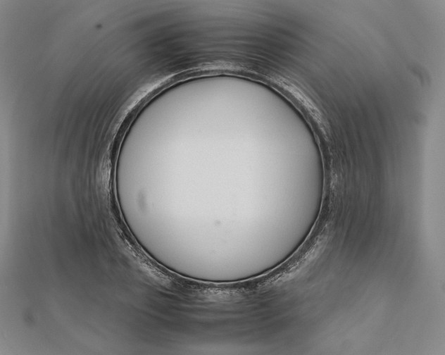 X0000112050933200908250955