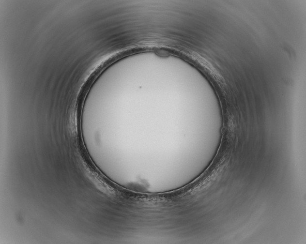 X0000112050934200908250955