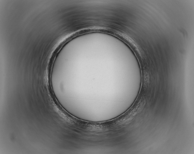 X0000112050935200908250955