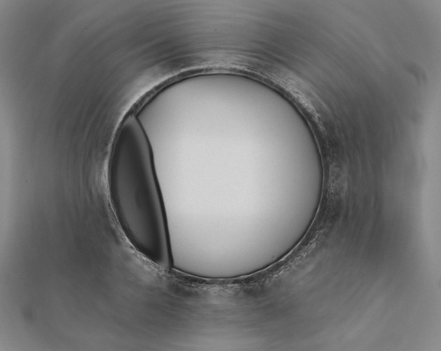 X0000112050936200908250955