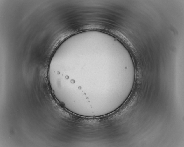 X0000112050937200908250955