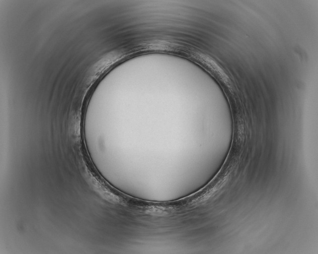 X0000112050938200908250955