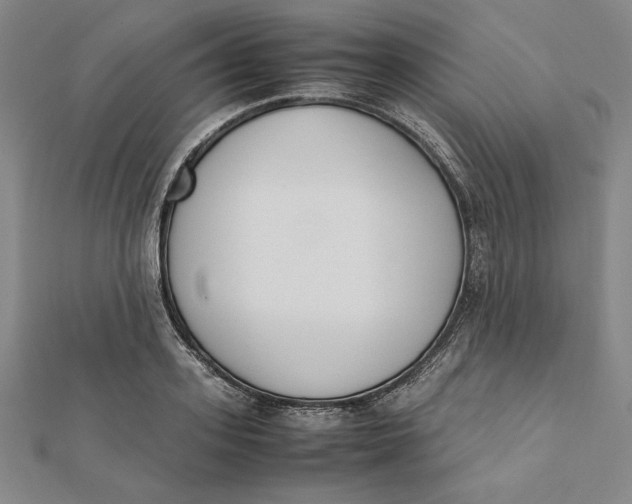 X0000112050939200908250955