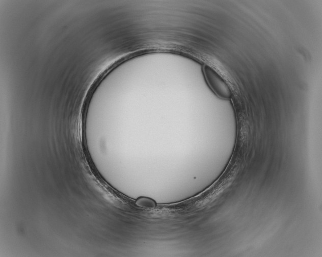 X0000112050940200908250955