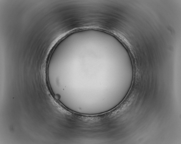 X0000112050941200908250955