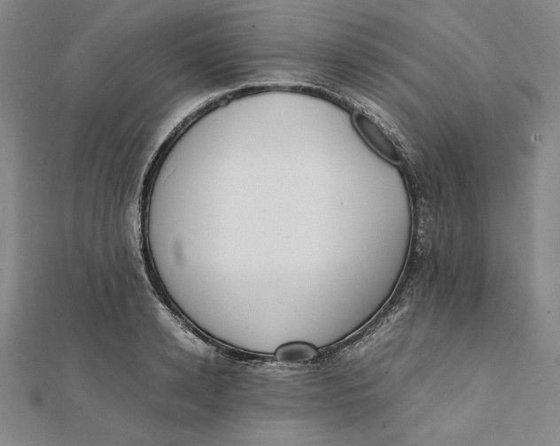 X0000112050942200908250955