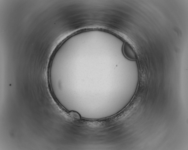 X0000112050943200908250955