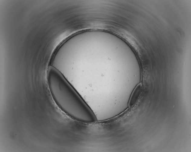 X0000112050944200908250955